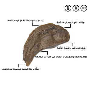 الباقة الأفريقية