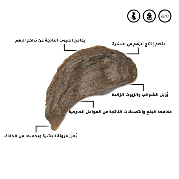 الباقة الأفريقية