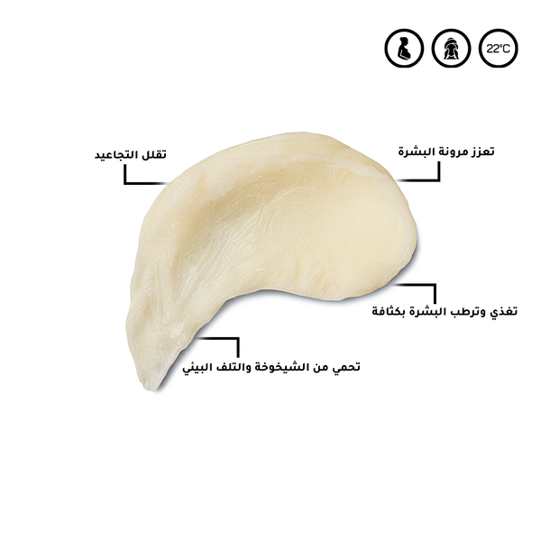 الباقة الأفريقية